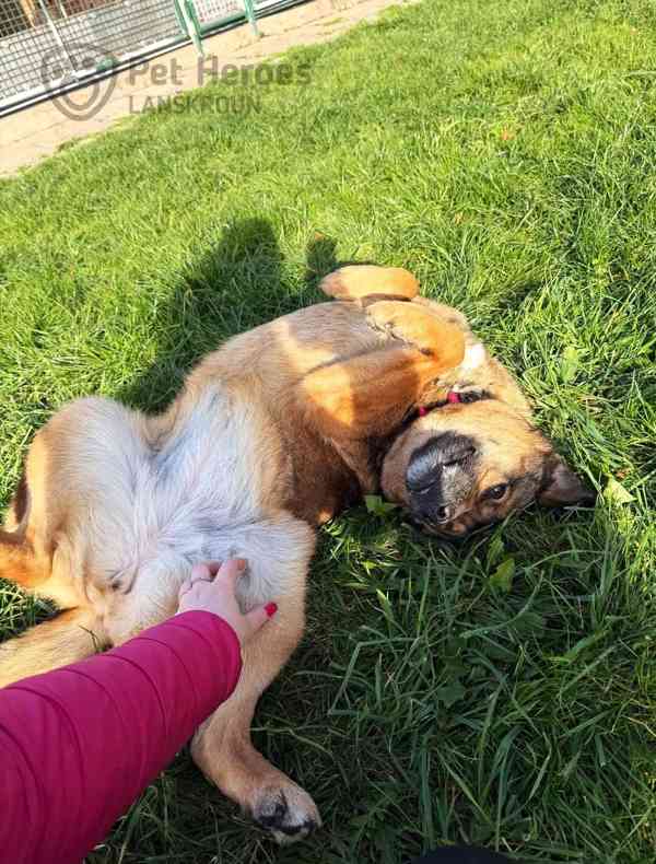 Guliana ❤ rozpustilá princezna ❤ - foto 4