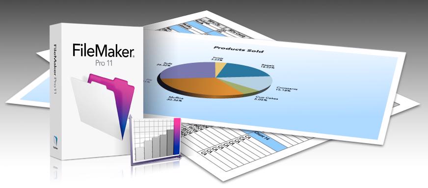 Pracujte efektivněji s tabulkami z Excelu ve FileMakeru - foto 2