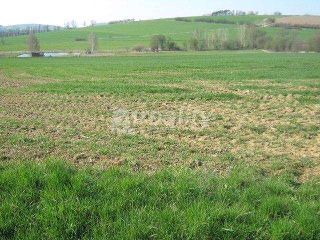 Prodej lukrativní pozemek 10.000 m2, Drachkov, okres Benešov - foto 5