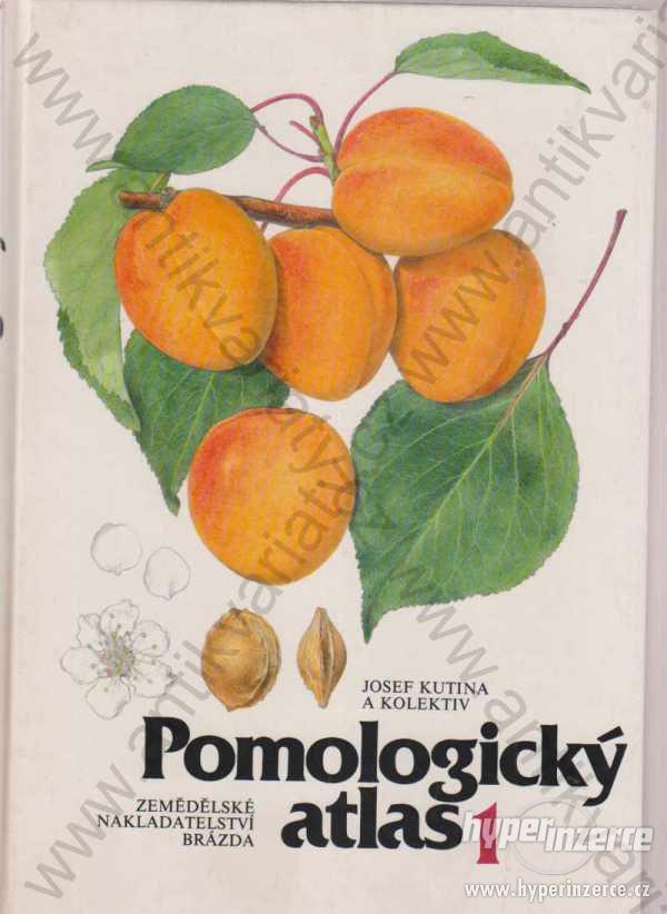 Pomologický atlas 1 Josef Kutina a kolektiv 1991 - foto 1