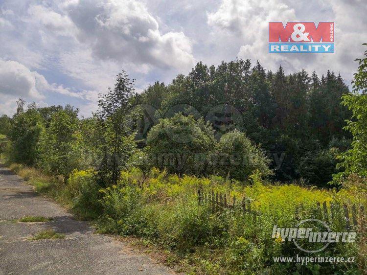Prodej, louka, Ludvíkovice - foto 2