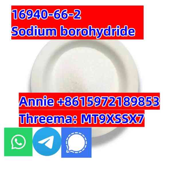 CAS 16940-66-2 Sodium borohydride SBH good quality, factory 