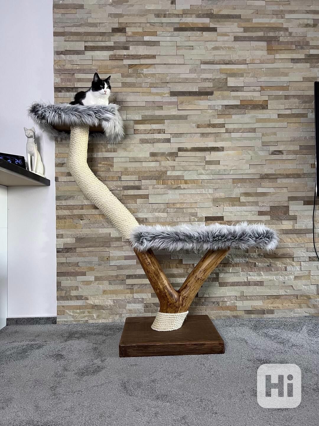 Kočičí stromy  - foto 1