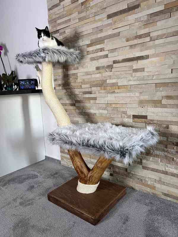 Kočičí stromy  - foto 2