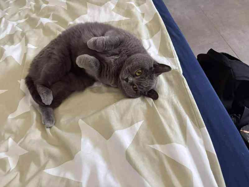 Zralá lady Šeron - foto 4