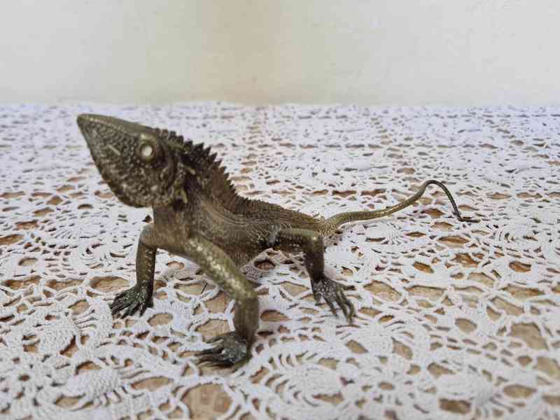 Krásná stará Bronzová Socha Ještěr - foto 5