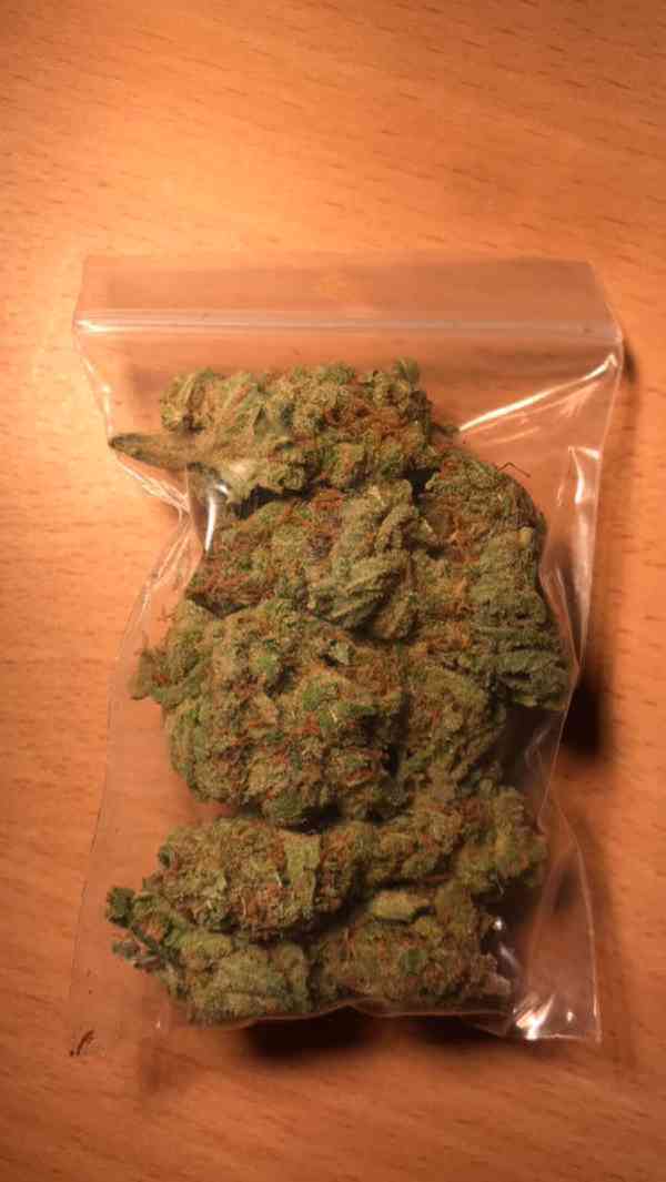 Kush na prodej od 3,5 g výše, jsme k dispozici 24/7 - foto 2