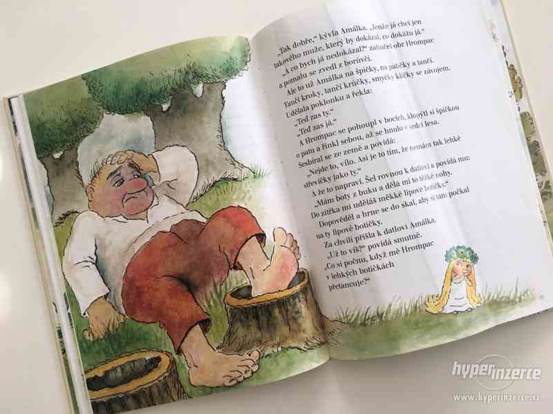 Dětská  kniha - Říkání o víle Amálce - foto 3