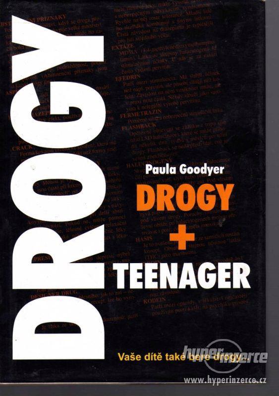 Drogy + teenager  Paula Goodyer 1.vydání 2001 - foto 1