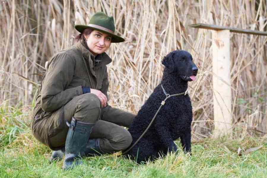štěňata Curly Coated Retriever kudrnatý - foto 2