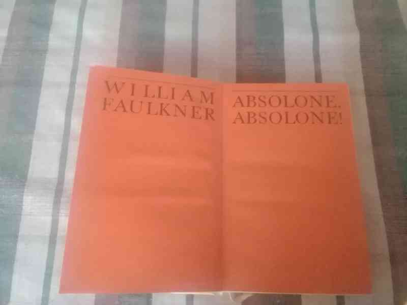Absolone, Absolone ! - román - foto 2