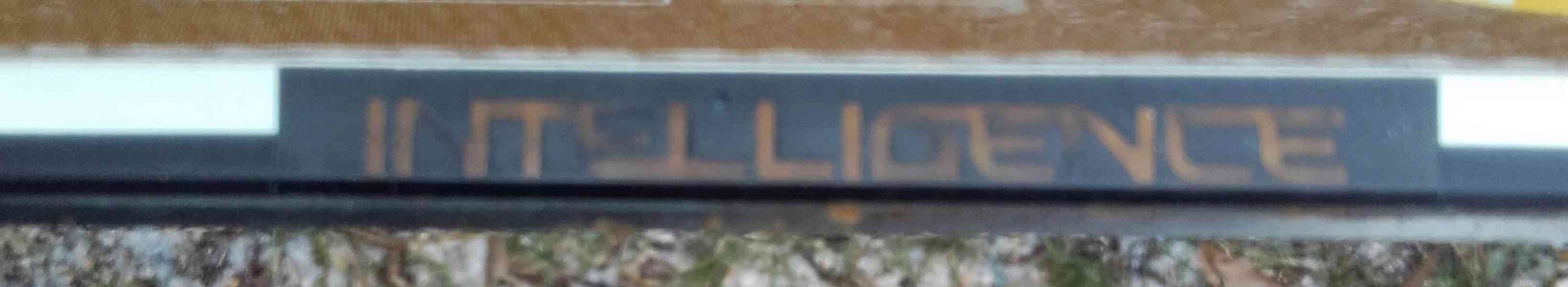 Snowboard HEAD Intelligence 156 - foto 3