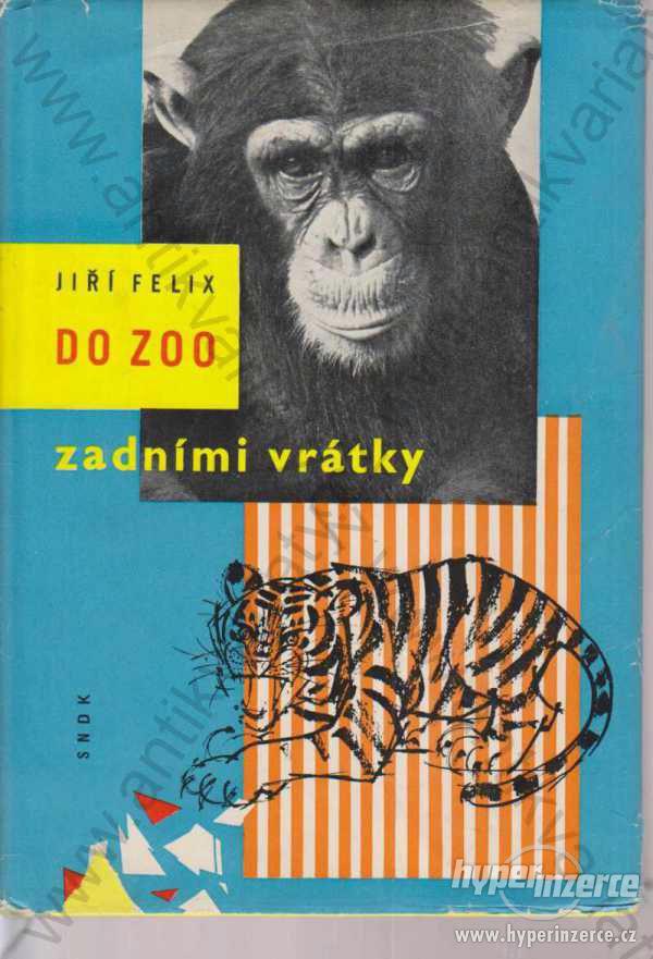 Do zoo zadními vrátky Jiří Felix SNDK, Praha 1961 - foto 1