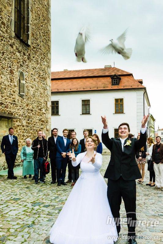 Svatební holubi - foto 3
