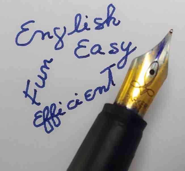 Anglicky dokonale - snadno s rodilým úspěšným učitelem