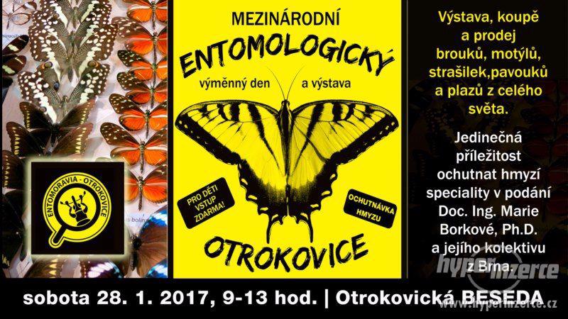 Entomologická výstava v OTROKOVICÍCH, 28.1.2017 - foto 1