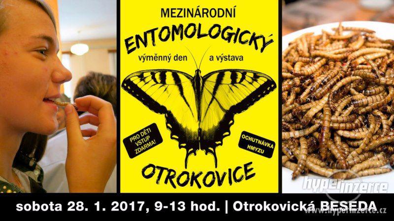 Entomologická výstava v OTROKOVICÍCH, 28.1.2017 - foto 2
