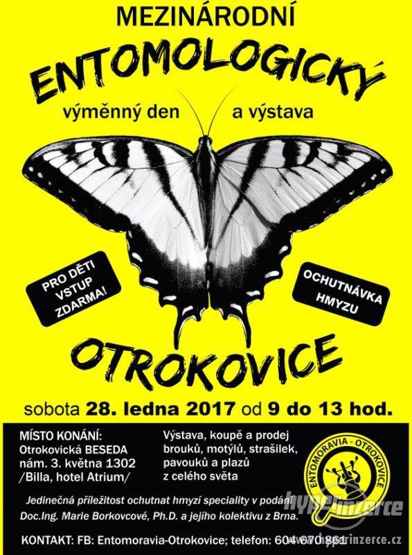 Entomologická výstava v OTROKOVICÍCH, 28.1.2017 - foto 12