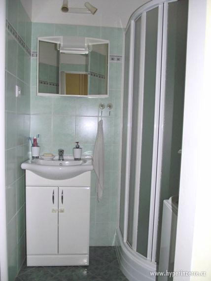 Pronájem bytu 1+1, 40 m2, Plzeň - Slovany - foto 3