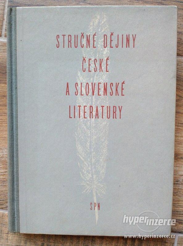 Stručné dějiny české a slovenské literatury - foto 1