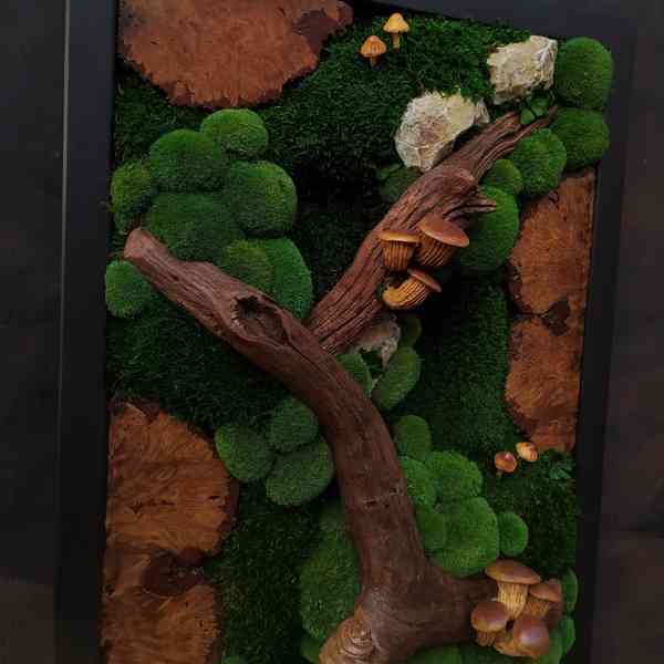 Mechový obraz / obraz ze stabilizovaného mechu - foto 3