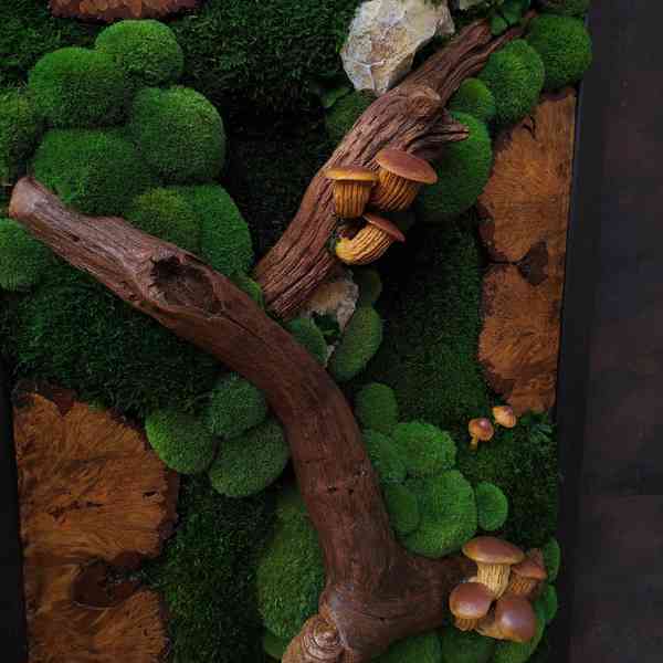 Mechový obraz / obraz ze stabilizovaného mechu - foto 4