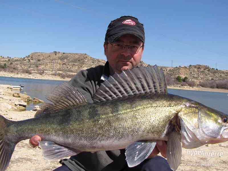 Rio Ebro - sumci, kapři,candáti - Španělsko - foto 6