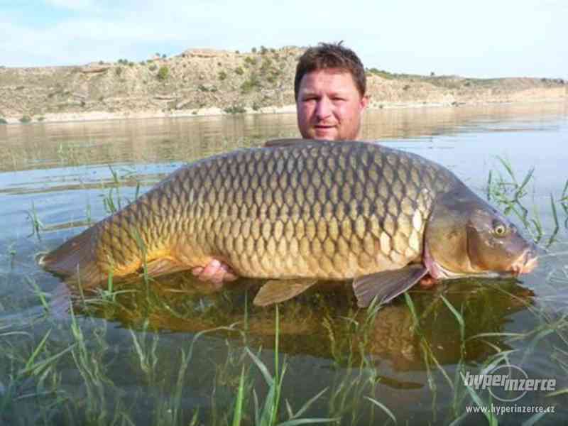 Rio Ebro - sumci, kapři,candáti - Španělsko - foto 9