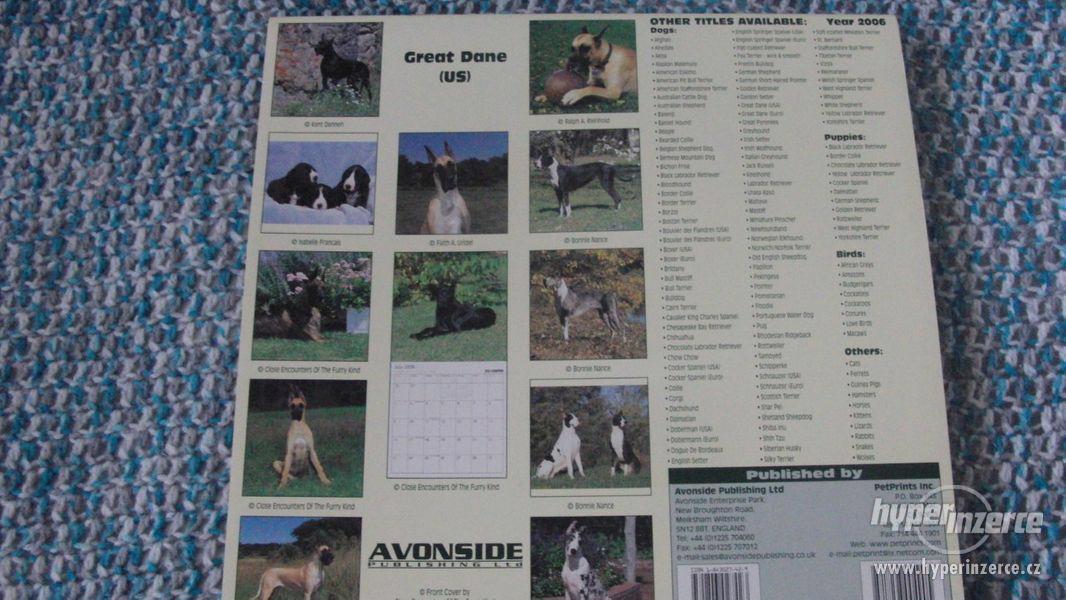 Kalendář Německá doga (US) 2006. Great Dane. - foto 2