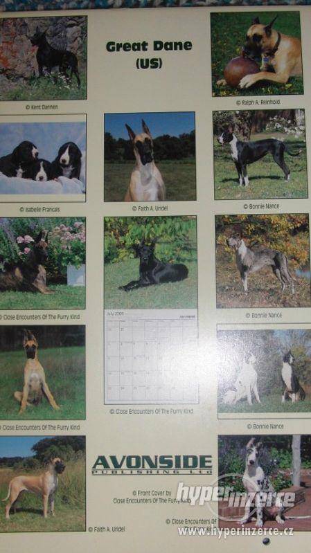Kalendář Německá doga (US) 2006. Great Dane. - foto 3