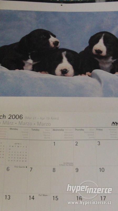 Kalendář Německá doga (US) 2006. Great Dane. - foto 4