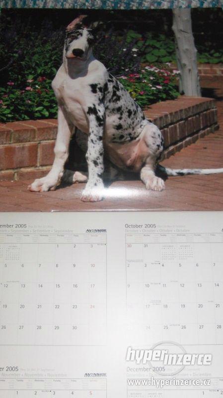 Kalendář Německá doga (US) 2006. Great Dane. - foto 5