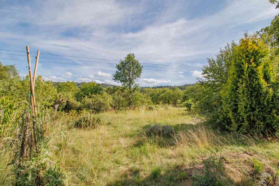 Rodinný dům na polosamotě uprostřed přírody 4804m2 - foto 37