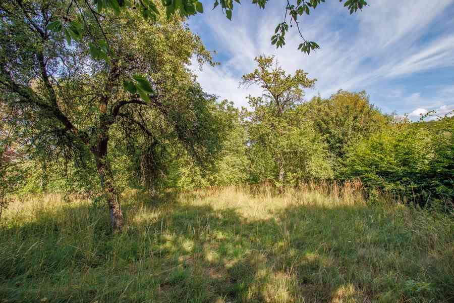 Rodinný dům na polosamotě uprostřed přírody 4804m2 - foto 38