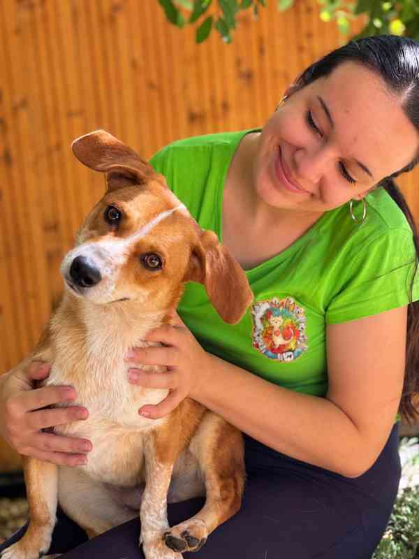 PRETTY - kastrovaná fenečka 1,5 roku  - foto 4