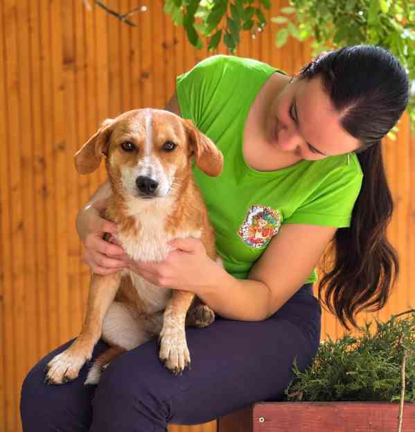 PRETTY - kastrovaná fenečka 1,5 roku  - foto 1