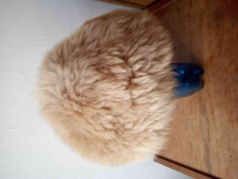 Dámská kožešinová čepice - foto 2