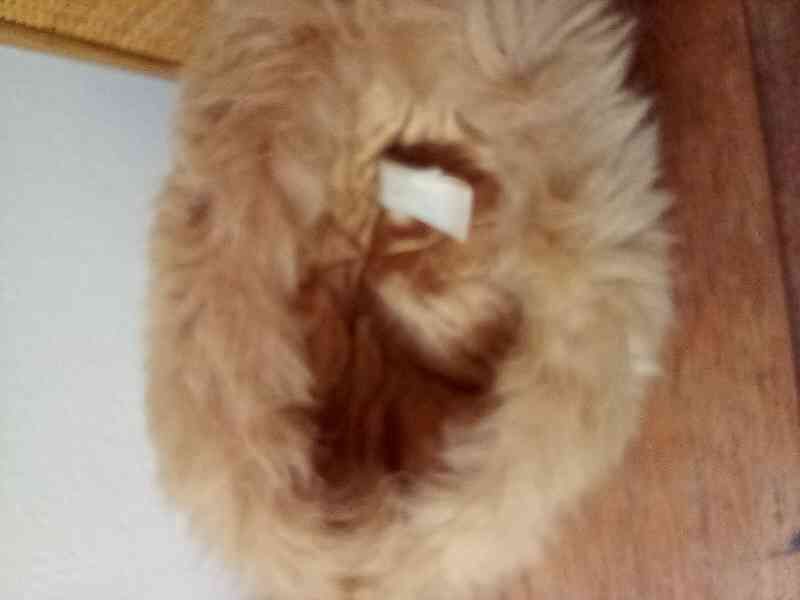 Dámská kožešinová čepice - foto 3