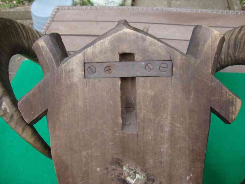 Starožitná Mufloní trofej Muflon 1912 medailové rozměry top - foto 15