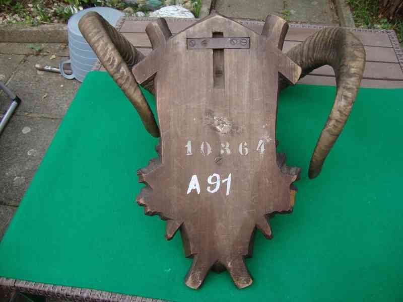 Starožitná Mufloní trofej Muflon 1912 medailové rozměry top - foto 14