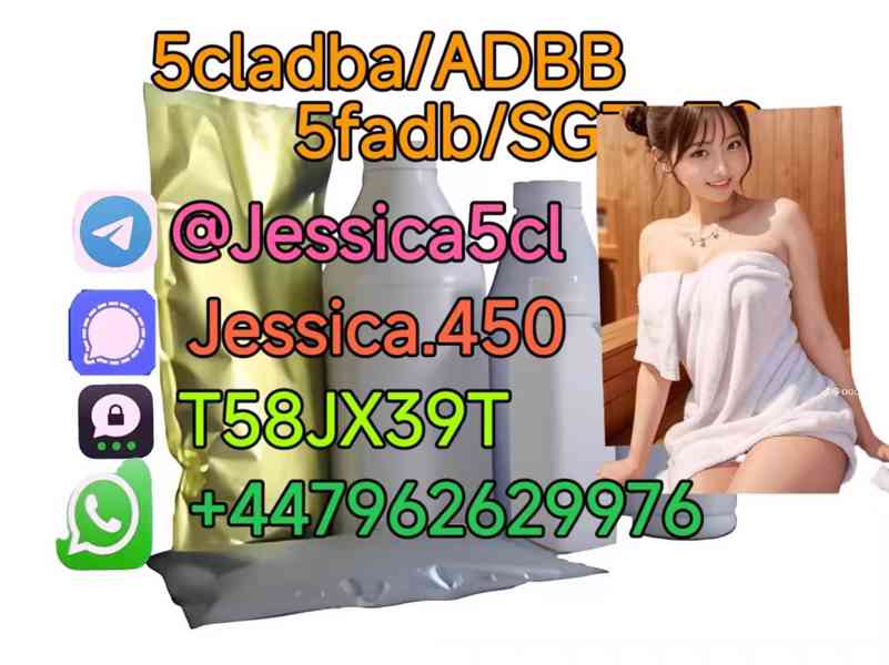 5F-ADB ADBB 5cladb precursor A-PVP 5cl rwa materials Shippin - foto 1