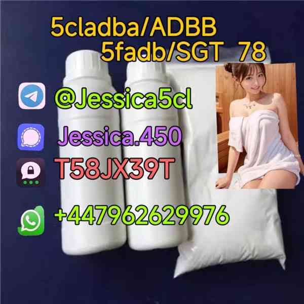 5F-ADB ADBB 5cladb precursor A-PVP 5cl rwa materials Shippin - foto 5