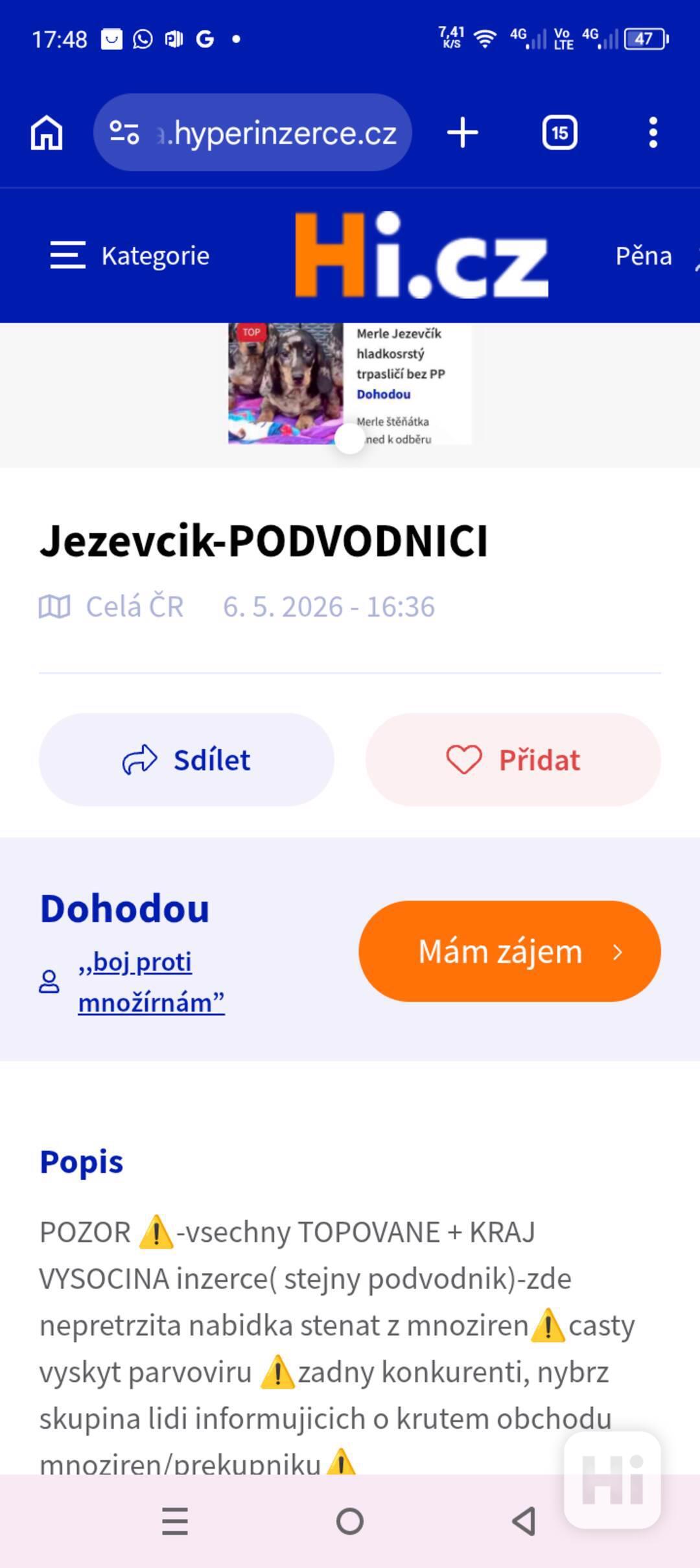 Jezevčík Konkurenční BOJ ⚠️ - foto 1