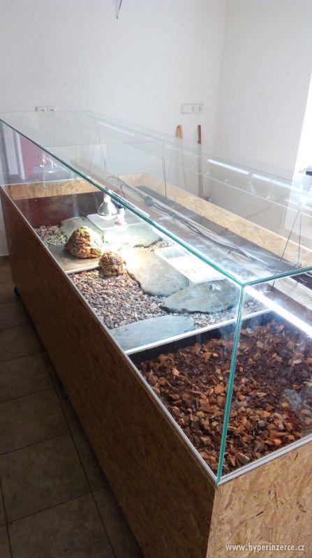Želvárium, želví stůl pojízdný prosklený - foto 3