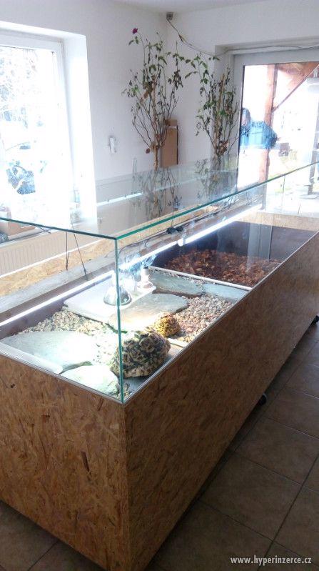 Želvárium, želví stůl pojízdný prosklený - foto 4