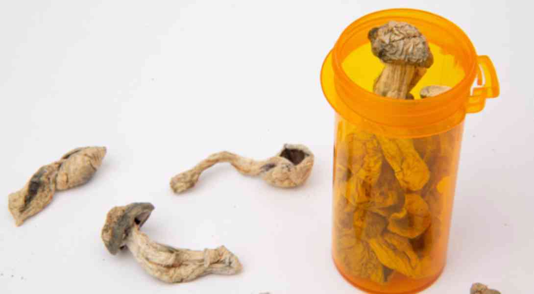 BUY MAGIC MUSHROOMS ONLINE FAST DELIVERY