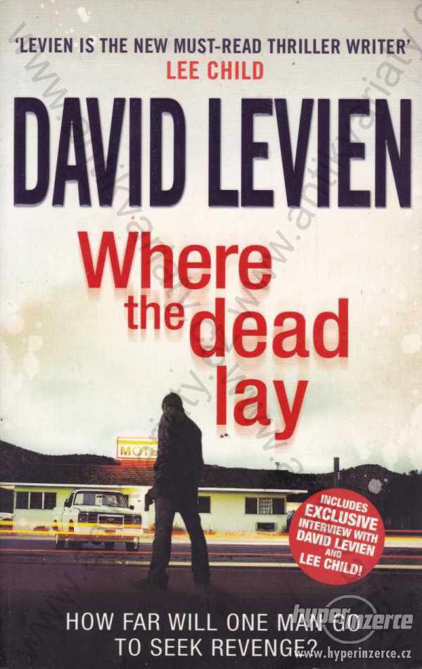 Where the dead lay David Levien 2010 - foto 1
