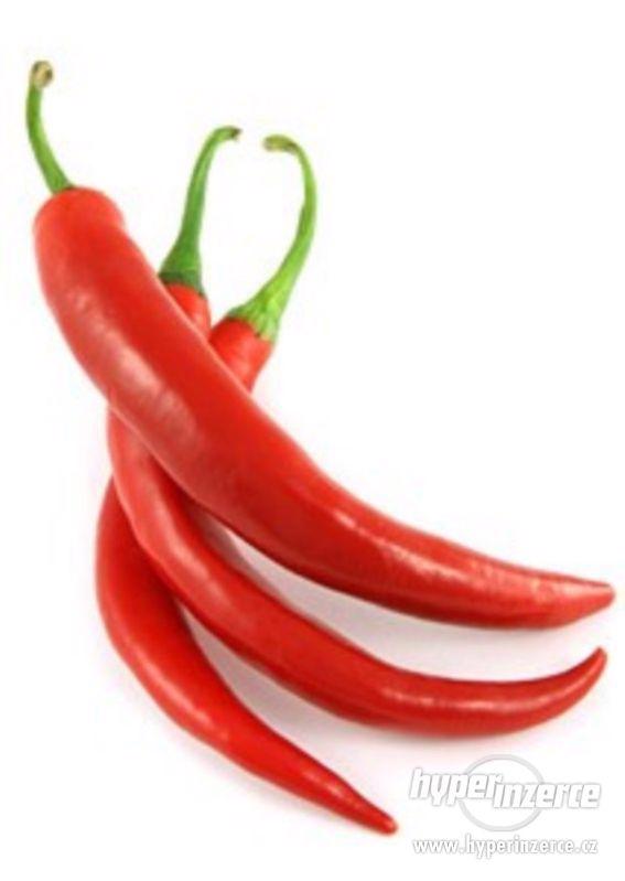 Chilli Cayenne pepper - semena - foto 1