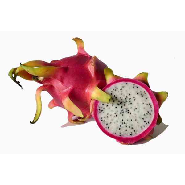 Kaktus Hylocereus undatus" v balení 10 semen - foto 2