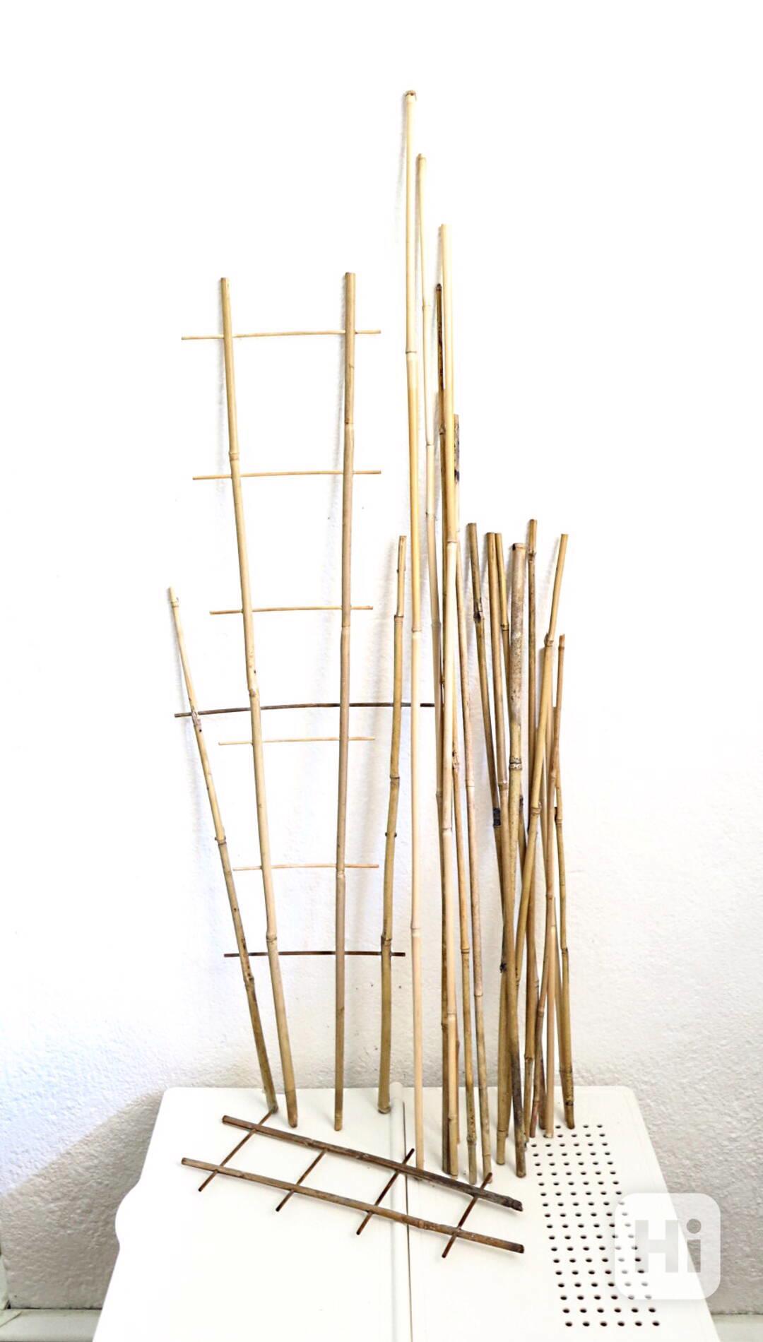Bambusové tyče a opory k rostlinám - foto 1